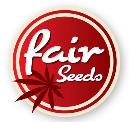 Fair Seeds Crystal Meth Auto