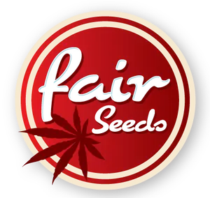 Fair Seeds Cream Candy Auto