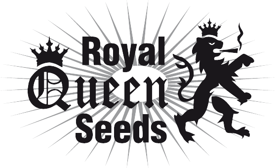 Royal Queen Seeds Green Crack Punch