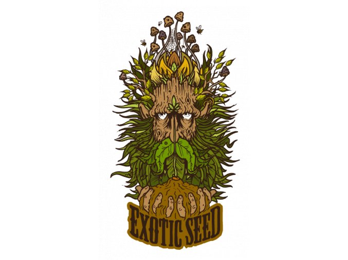 Exotic Seeds Gypsy Widow