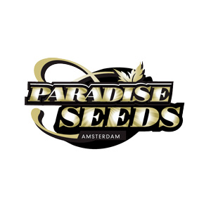 Paradise Seeds Space Cookies