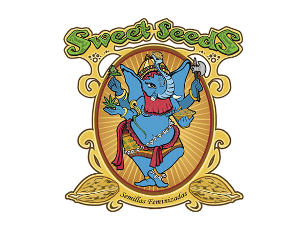 Sweet Seeds Ice Cool