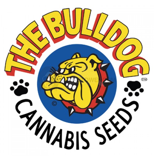 Bulldog Seeds Bubblegum Kush 5ks