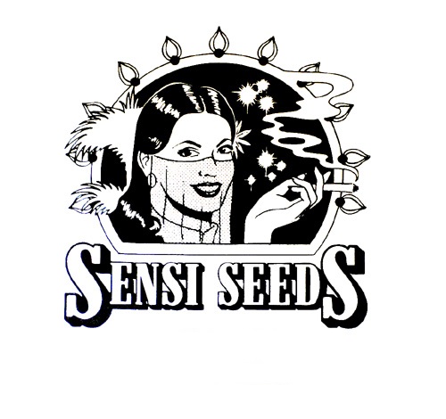 Sensi Seeds Shiva Skunk