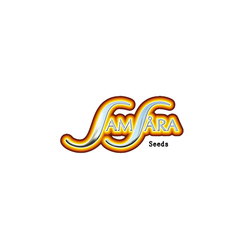 Samsara Seeds Spiritual Punk