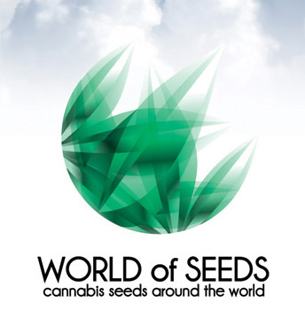 World of Seeds Sugar Mango Ryder Auto