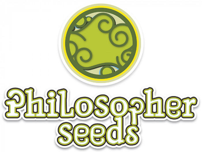 Philosopher Seeds CLASSIC line Early Maroc