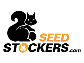 Seedstockers Northern Lights Auto feminized autoflowering