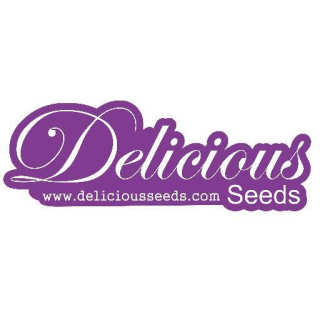 Delicious Seeds Eleven Roses Early Version