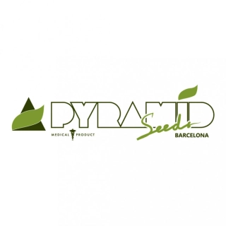 Pyramid Seeds - Northern Lights CBD