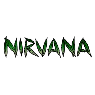 Nirvana - Amnesia Auto