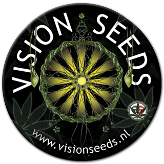 Vision Seeds - AK-49 Auto